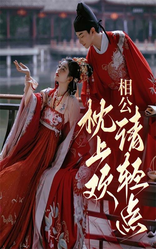 枕上欢:相公,请轻点