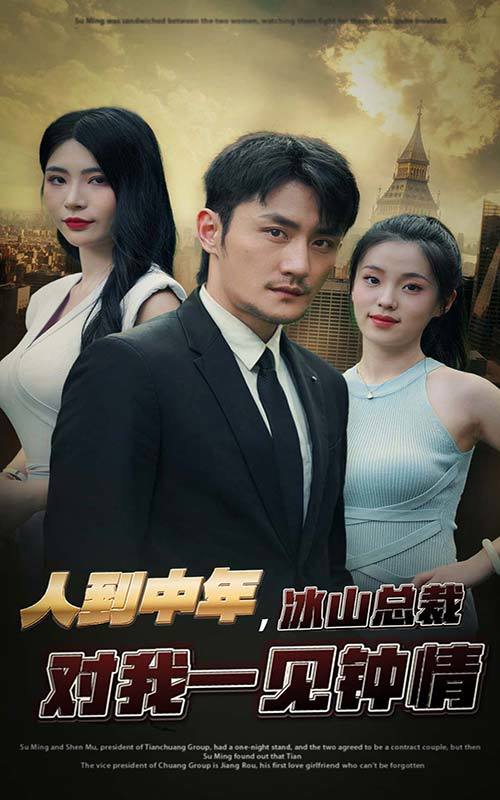 人到中年,冰山总裁对我一见钟情