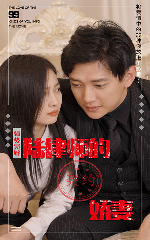 强势锁婚:陆律师的契约娇妻