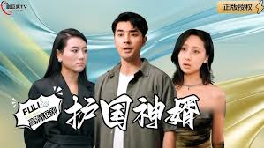 护国神婿